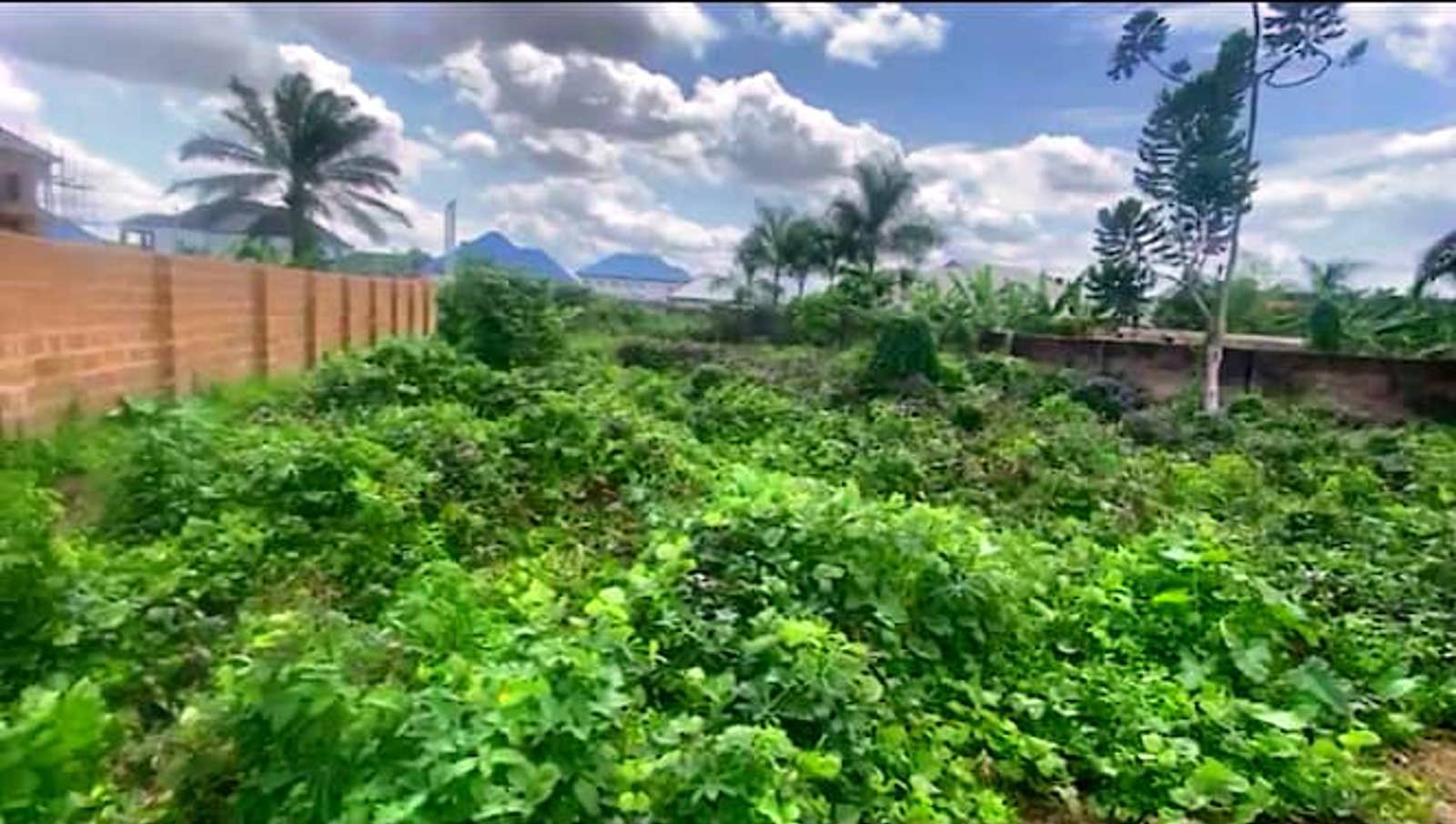 1000sqms land for sale at Osongama Estate